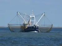 Trawler in vendita