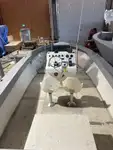 Imbarcazioni da lavoro in vendita