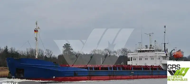 Trasportatore di merci sfuse in vendita