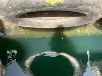 Rimorchiatore in vendita