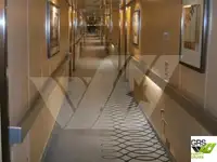 Nave da crociera in vendita