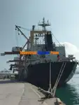 Trasportatore di merci sfuse in vendita