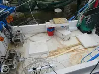Peschereccio a strascico in vendita