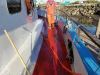 Nave traghetto in vendita
