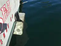 Peschereccio a strascico in vendita
