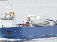 Nave refrigerata in vendita