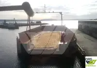 Chiatta in vendita
