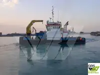 Imbarcazioni da lavoro in vendita