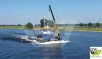 Barche da lavoro in vendita
