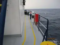 Nave refrigerata in vendita