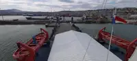 Trasportatore di merci sfuse in vendita