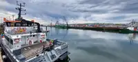 Catamarano in vendita
