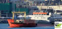 Trasportatore di merci sfuse in vendita