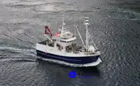 Nave da pesca a circuizione in vendita