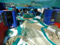 Trawler in vendita