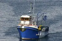 Trawler in vendita