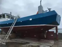 Barche da lavoro in vendita