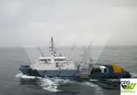 Barche da lavoro in vendita
