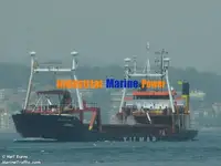 Trasportatore di merci sfuse in vendita