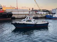 Trasportatore di merci sfuse in vendita