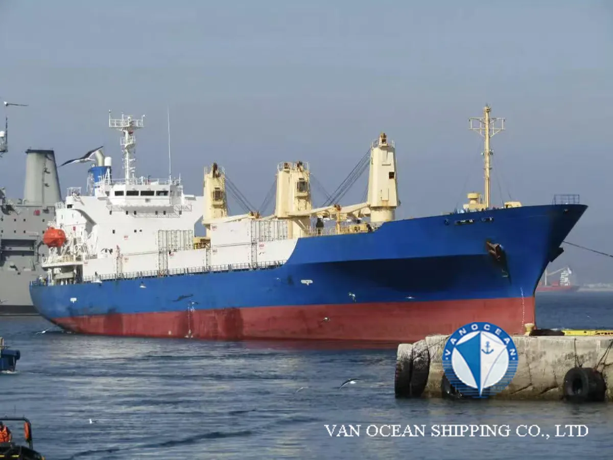 Nave refrigerata in vendita
