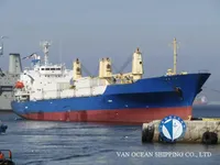 Nave refrigerata in vendita