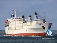 Nave refrigerata in vendita