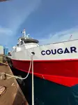 Portacontainer in vendita