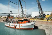 Trawler in vendita