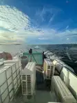 Portacontainer in vendita
