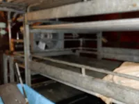 Peschereccio a palangaro in vendita