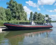 Portacontainer in vendita