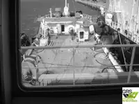 Supporto per le immersioni in vendita