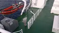 Nave Ro-Ro in vendita