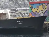 Nave Ro-Ro in vendita
