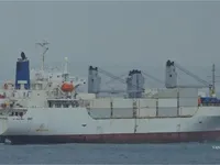 Nave refrigerata in vendita