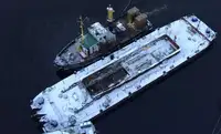 Chiatta in vendita