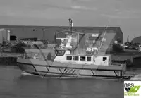 Nave di servizio per parchi eolici in vendita