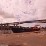 Trasportatore di merci sfuse in vendita