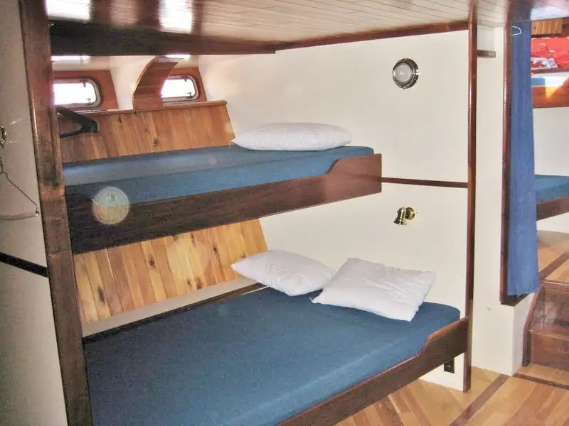 Nave da crociera in vendita