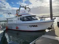 Trawler in vendita