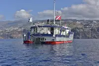Rimorchiatore in vendita