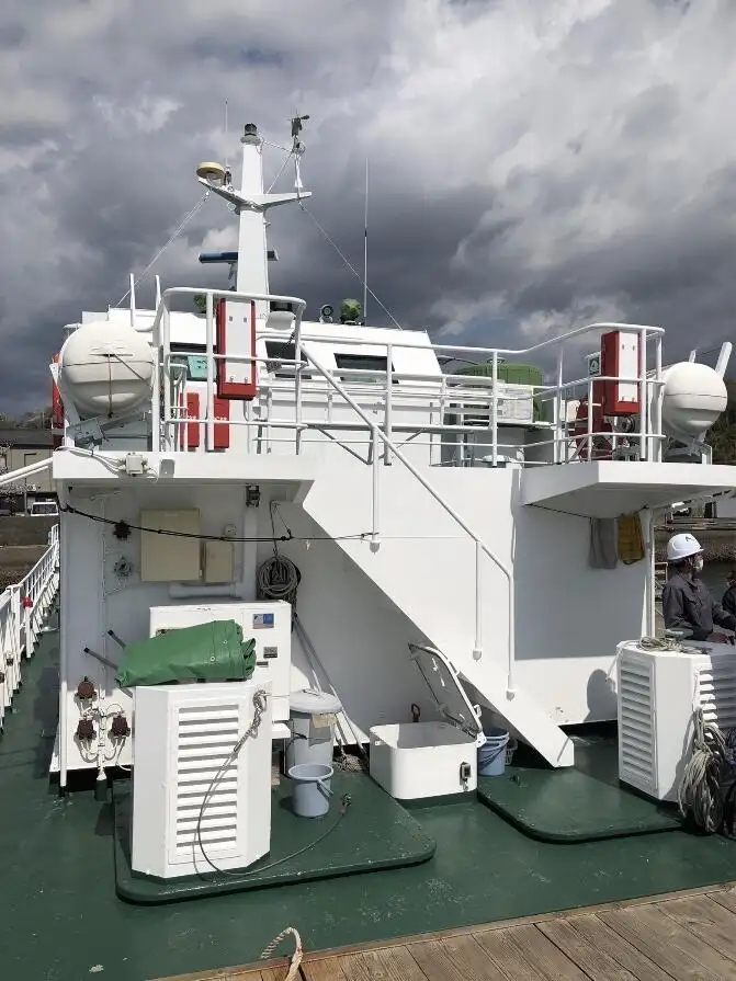 Trasportatore di merci sfuse in vendita