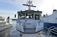 Nave da crociera in vendita