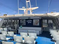 Catamarano in vendita