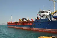 Trasportatore di merci sfuse in vendita