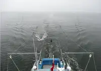 Nave da rilevamento in vendita