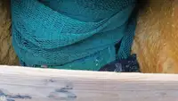 Peschereccio a strascico in vendita