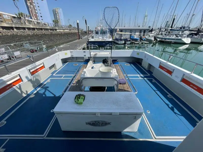 Catamarano in vendita