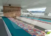 Nave passeggeri in vendita